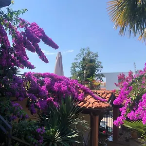 Ana , Opatija Kroatien