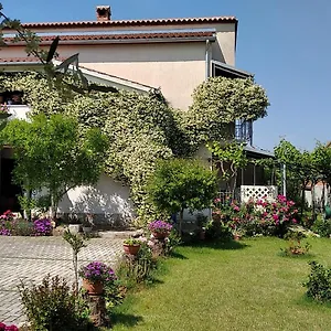 Sasa Bozac Poreč